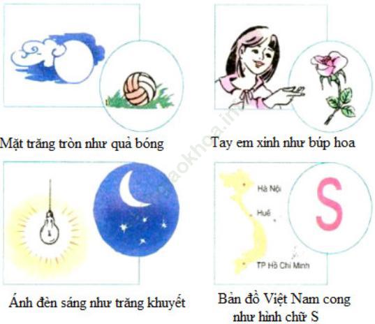 Luyện từ và câu Tuần 15 trang 75,76,77 VBT Tiếng Việt 3 Tập 1 ảnh 2