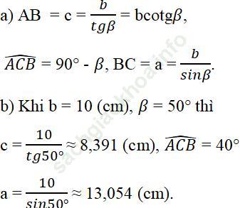 Bài 3 trang 113 SBT Toán 9 Tập 1 ảnh 1