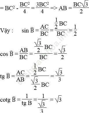 Bài 49 trang 112 SBT Toán 9 Tập 1 ảnh 1