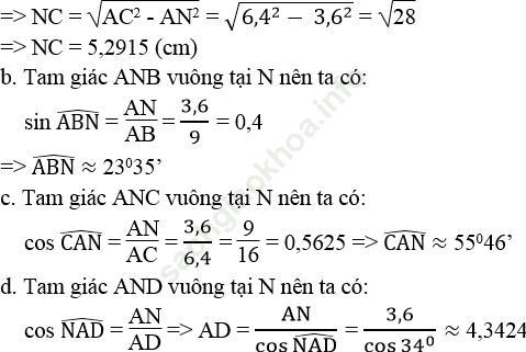 Bài 42 trang 111 SBT Toán 9 Tập 1 ảnh 1