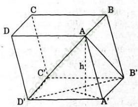 Giải bài 17 trang 28 SGK Hình Học 12 nâng cao ảnh 1