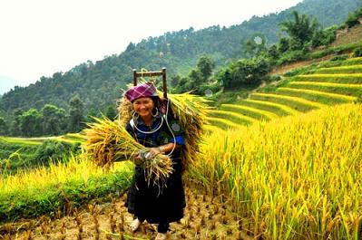 Lý thuyết & Trắc nghiệm Bài 1: Cộng đồng các dân tộc Việt Nam - Địa Lí 9 hình ảnh 3