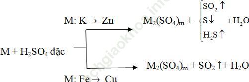 Dạng 7: Các dạng bài tập về Axit Sunfuric H2SO4 ảnh 1