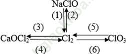 Dạng 3: Hoàn thành phương trình hóa học về Halogen ảnh 3