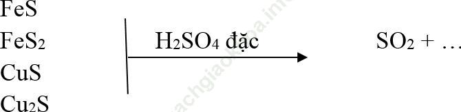Dạng 7: Các dạng bài tập về Axit Sunfuric H2SO4 ảnh 3