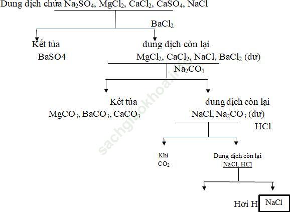 Dạng 2: Bài tập nhận biết, tách chất Nhóm Halogen ảnh 5