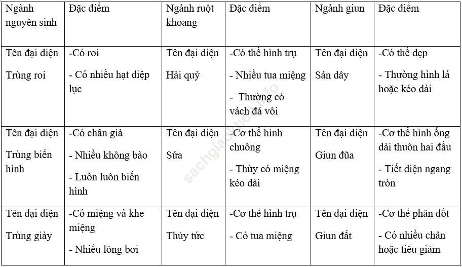 Bài 30: Ôn tập phần 1 - Động vật không xương sống ảnh 2