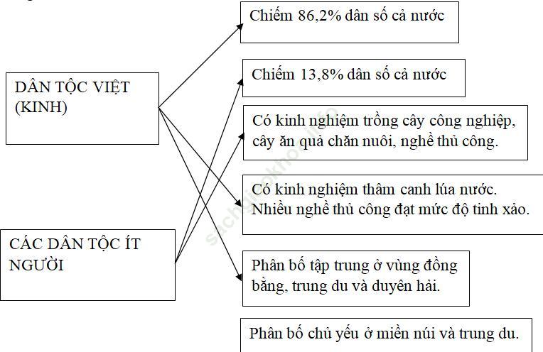 Bài 1: Cộng đồng các dân tộc Việt Nam ảnh 1