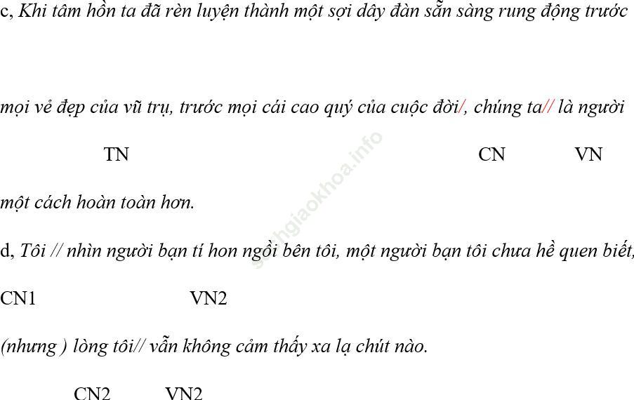 Ôn thi vào lớp 10 môn Văn phần Tiếng Việt ảnh 8