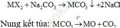 Phương pháp sử dụng phương trình ion thu gọn trong hóa học cực hay, có lời giải ảnh 18