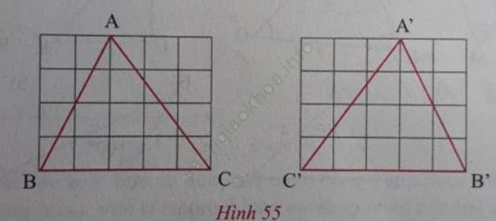 Toán 7 VNEN Bài 1: Hai tam giác bằng nhau ảnh 1