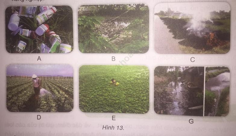 Công nghệ 7 VNEN Bài 13: Bảo vệ môi trường và an toàn trong nông nghiệp ảnh 1