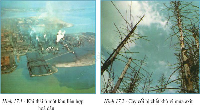 Lý thuyết & Trắc nghiệm Bài 17: Ô nhiễm môi trường ở đới ôn hòa ảnh 1