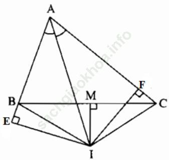 Toán 7 VNEN Bài 8: Các trường hợp bằng nhau của tam giác vuông ảnh 16