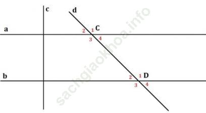 Toán 7 VNEN Bài 3: Quan hệ giữa tính vuông góc và tính song song của hai đường thẳng ảnh 17