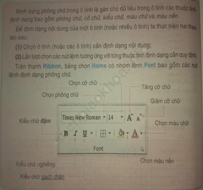 Bài 10: Định dạng phông chữ và kẻ khung cho bảng tính ảnh 3