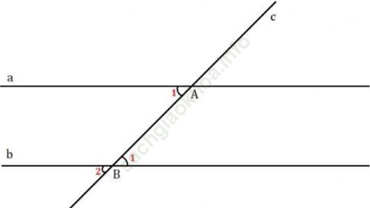 Toán 7 VNEN Bài 1: Hai đường thẳng vuông góc, hai đường thẳng song song ảnh 5