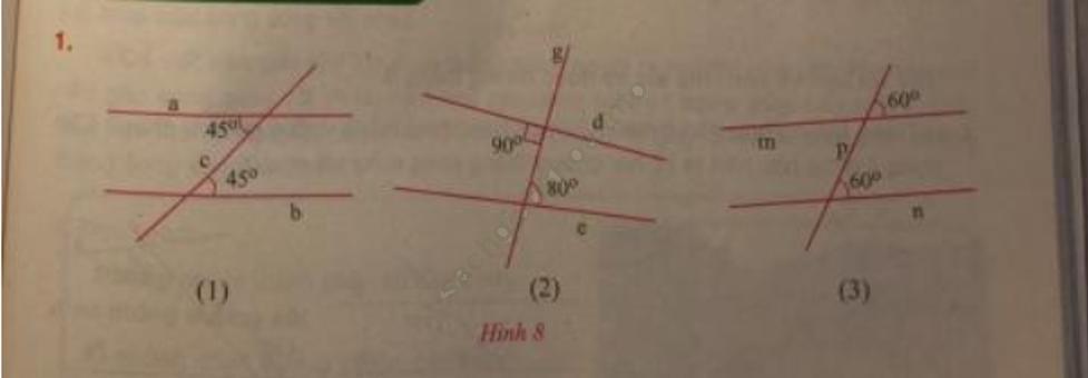 Toán 7 VNEN Bài 1: Hai đường thẳng vuông góc, hai đường thẳng song song ảnh 7