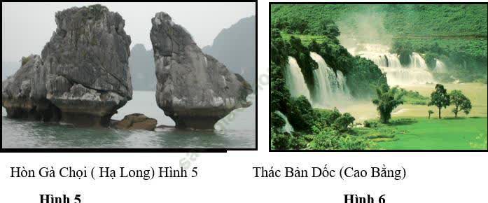 Giáo án Địa Lí 8 Bài 36: Đặc điểm đất Việt Nam | Giáo án Địa Lí 8 mới, chuẩn nhất