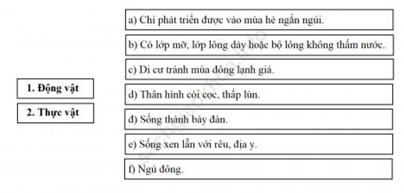 Bài 5: Môi trường đới lạnh ảnh 3