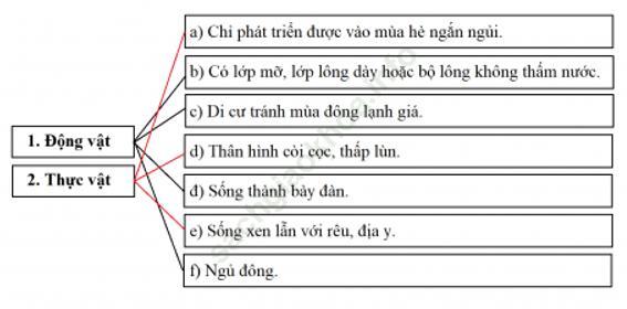 Bài 5: Môi trường đới lạnh ảnh 4