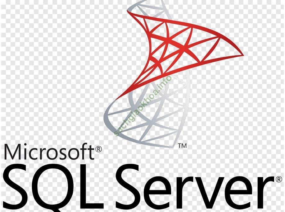 Ảnh Học SQL Server