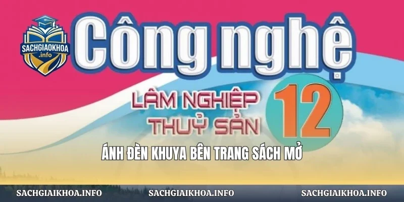 Ánh đèn khuya bên trang sách mở