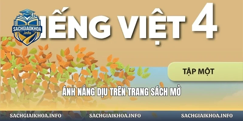 Ánh nắng dịu trên trang sách mở