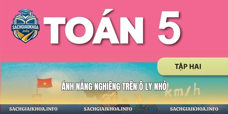 Ánh nắng nghiêng trên ô ly nhỏ