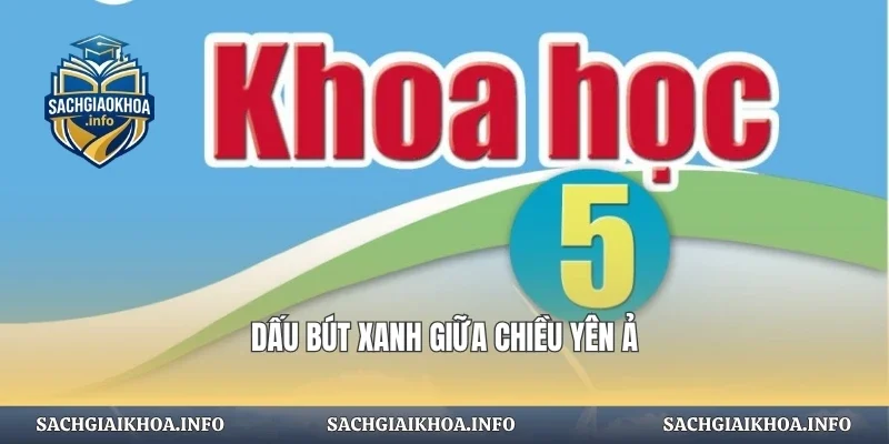 Dấu bút xanh giữa chiều yên ả