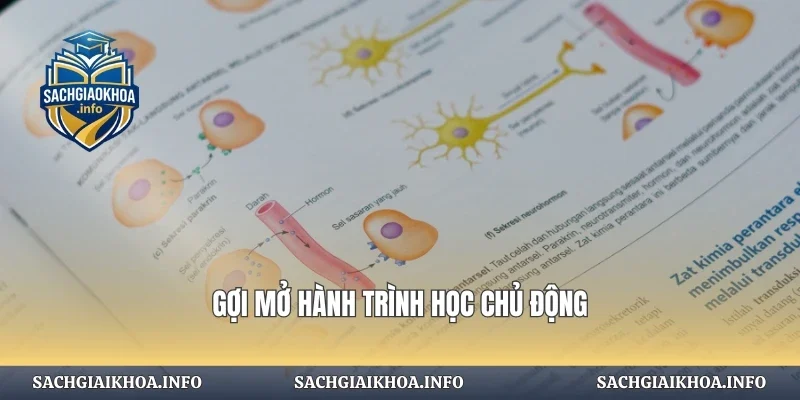 Gợi mở hành trình học chủ động