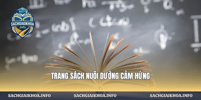 Trang sách nuôi dưỡng cảm hứng