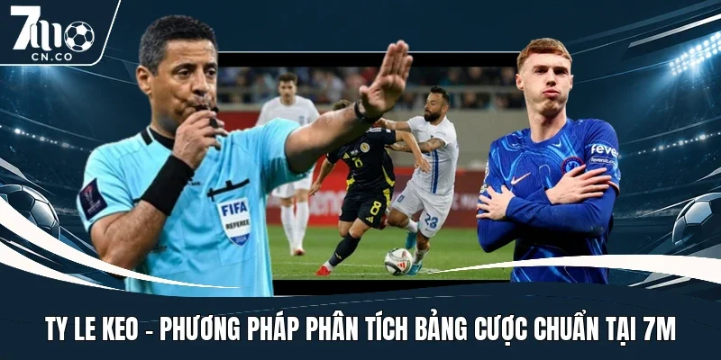 ty-le-keo-phuong-phap-phan-tich-bang-cuoc-chuan-tai-7m